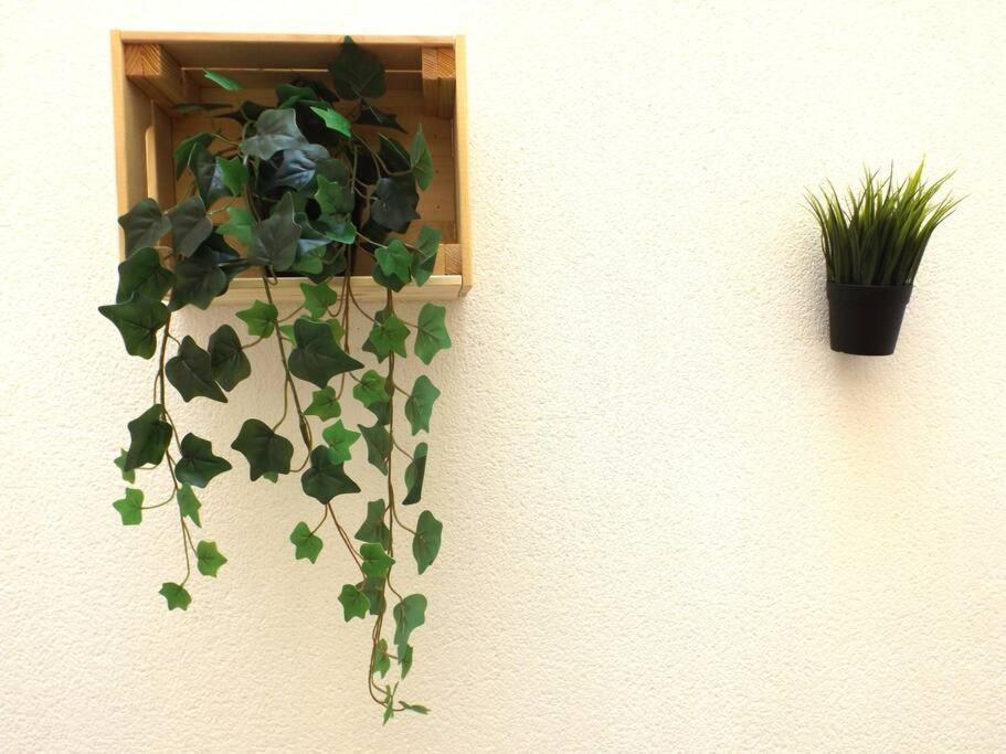 Apartamento Suite Centrico B Málaga Eksteriør billede
